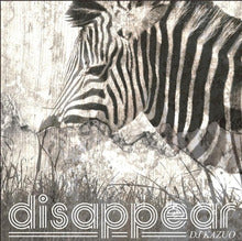DJ KAZUO / DISAPPEAR