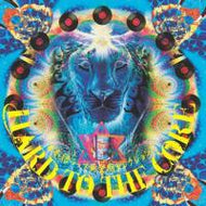 DJ BOBO JAMES / HARD TO THE  CORE (日本語ラップ黄金期セレクションズ)