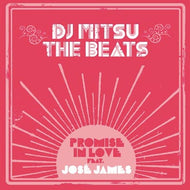DJ MITSU THE BEATS / PROMISE IN LOVE FEAT.JOSE JAMES