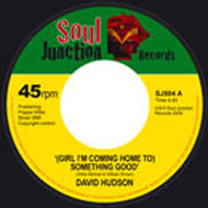 DAVID HUDSON / (GIRL I'M COMING HOME TO) SOMETHING GOOD'