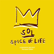 DJ SOULJAH / SPACE OF LIFE -A DIGGER'S DELIGHT REMASTER EDITION-