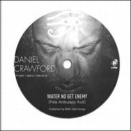 DANIEL CRAWFORD / Water No Get Enemy / Trouble Feat. Amp Fiddler & Monet