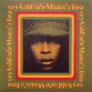 ERYKAH BADU / MAMA'S GUN (180g Reissue)