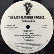 EAST FLATBUSH PROJECT / TRIED BY 12