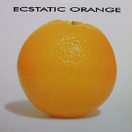 ECSTATIC ORANGE / WORLD KEEP SPINNING