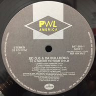ED O.G & DA BULLDOGS / BE A FATHER TO YOUR CHILD