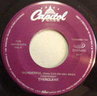EVERCLEAR / WONDERFUL