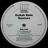 ERYKAH BADU / BAG LADY REMIXES