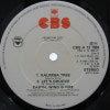 EARTH WIND & FIRE / KALIMBA TREE