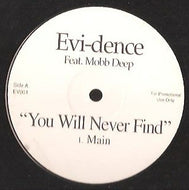 EVI-DENCE / YOU WILL NEVER FIND