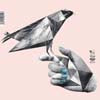 ELECTRIC BLANKET / I NEVER ATE THAT BIRD