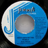 ECHO MINOTT / BEEN AROUND THE WORLD