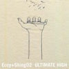 ECCY + SHING02 / ULTIMATE HIGH