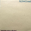 FLOWCHART / EVERGREEN NOISE IS FLEXIBLE