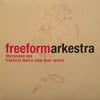 FREEFORM ARKESTRA / THYRRENEAN SEA