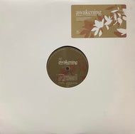 FRANCOIS K. / AWAKENING