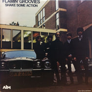 FLAMIN' GROOVIES / SHAKE SOME ACTION