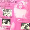 FISHBONE / IT'A WONDERFUL LIFE
