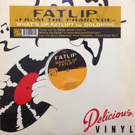 FATLIP / WHAT'S UP FATLIP?