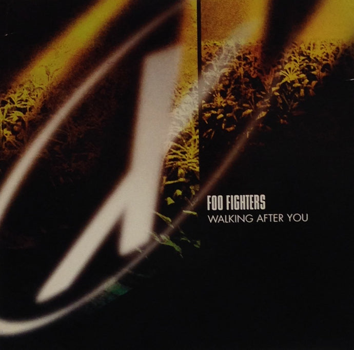 FOO FIGHTERS / WALKING AFTER YOU