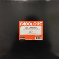 FABOLOUS / CAN'T LET YOU GO