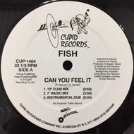 FISH / CAN YOU FEEL IT