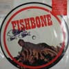 FISHBONE / THE POOL IS NOW OPEN!