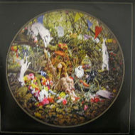 FLORENCE AND THE MACHINE / DOG DAYS ARE OVER