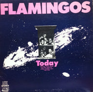 FLAMINGOS / TODAY