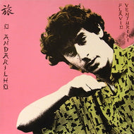 FLAVIO VENTURINI / O ANDARILHO