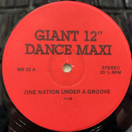 FUNKADELIC / ONE NATION UNDER A GROOVE