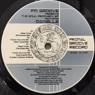 FM GROOVE / THE SOUL PROPHECY E.P.