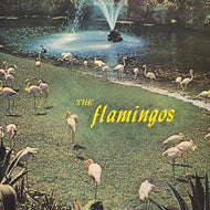 FLAMINGOS / Flamingos