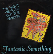 FANTASTIC SOMETHING / The Night We Flew Out The Window 