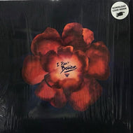 FLIGHT FACILITIES / I Didn't Believe