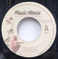 FRANKIE WILMOTT / I Won't Give Up