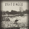 FLIGHTCRANK / WHAT U NEED