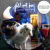 FALL OUT BOY / INFINITY ON HIGH