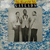 GAYLADS / THE BEST OF