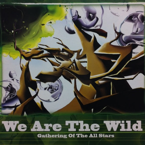 b-boy park all stars we are the wild レコード