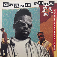 GRAND PUBA / Ya Know How It Goes / Lickshot