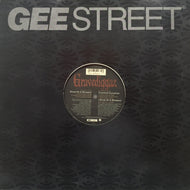 GRAVEDIGGAZ / DIARY OF A MADMAN