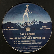 G U & CEI-BEI / House Music Will Never Die