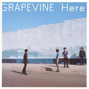 GRAPEVINE / HERE – TICRO MARKET
