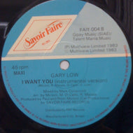 GARY LOW / I WANT YOU