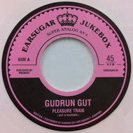 GUDRUN GUT / Pleasure Train