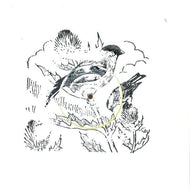 GOLDFFINCH / REMIXES