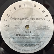 GABRIELLE ROTH & THE MIRRORS / WAVES