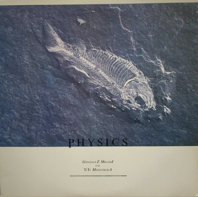 LP2枚　ゴンチチGONITTI Sunday Market / Physics GONTITI （ゴンチチ） / Physics – TICRO MARKET