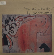 GRAHAM COXON / The Sky Is Too High